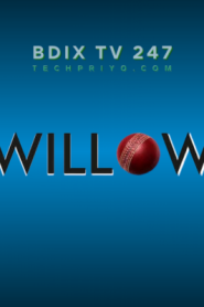 Willow Sports HD